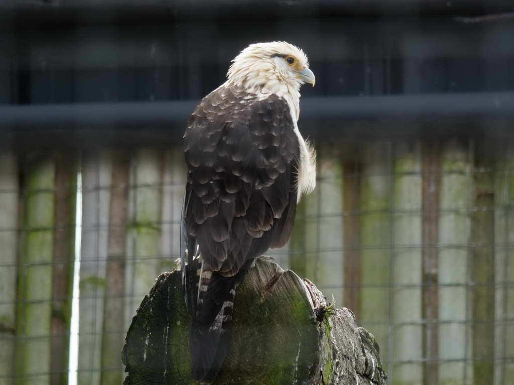 Süd- & Nordamerika 07-2017