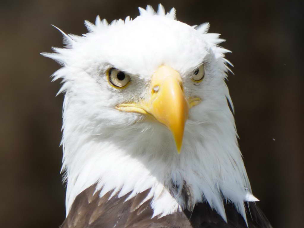 Süd- & Nordamerika 07-2017