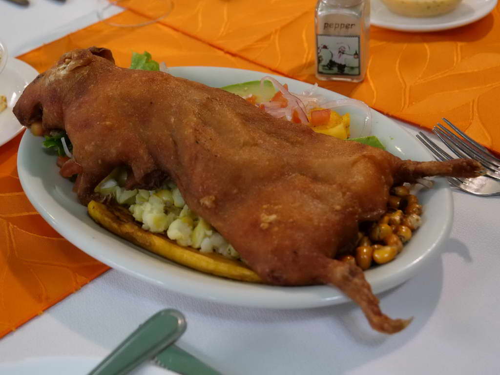 Süd- & Nordamerika 07-2017