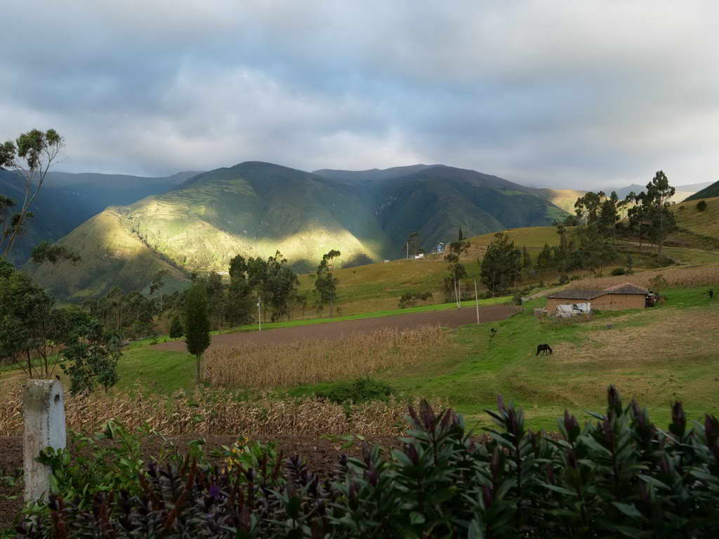 Süd- & Nordamerika 07-2017