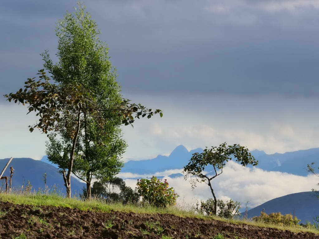 Süd- & Nordamerika 07-2017