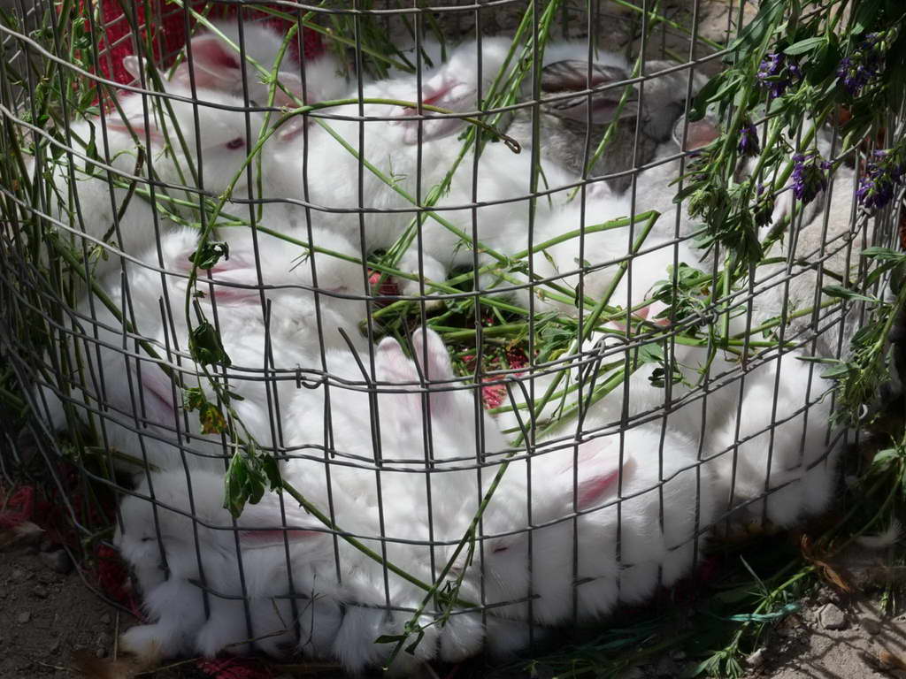 Süd- & Nordamerika 07-2017