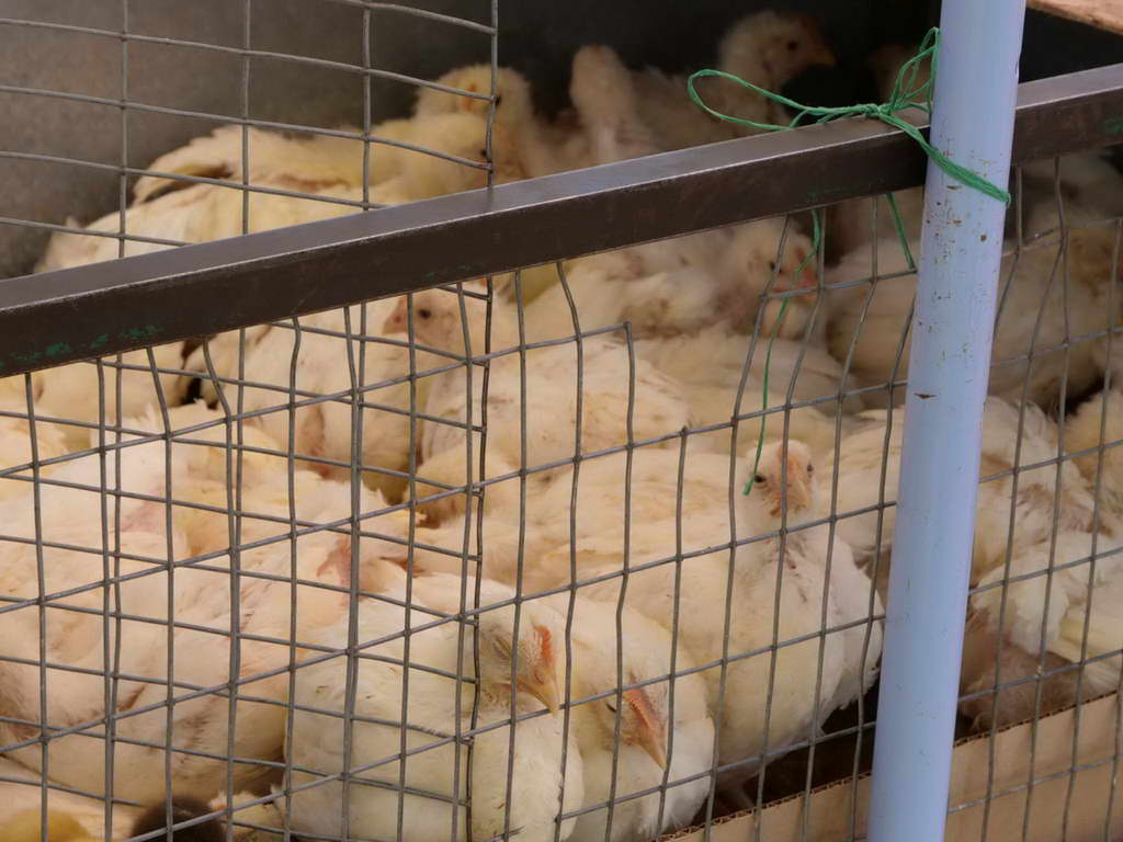 Süd- & Nordamerika 07-2017