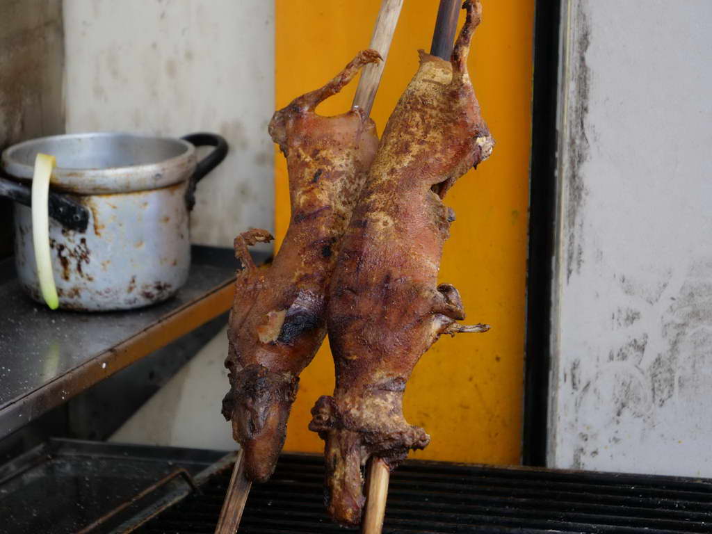 Süd- & Nordamerika 07-2017