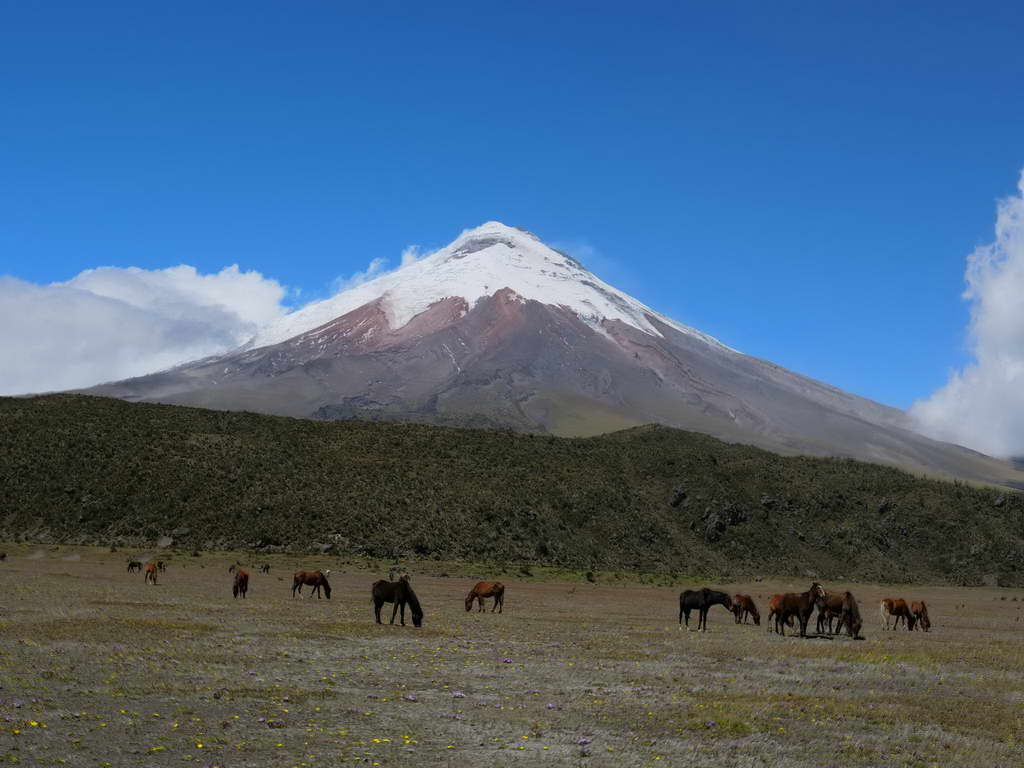 Süd- & Nordamerika 07-2017