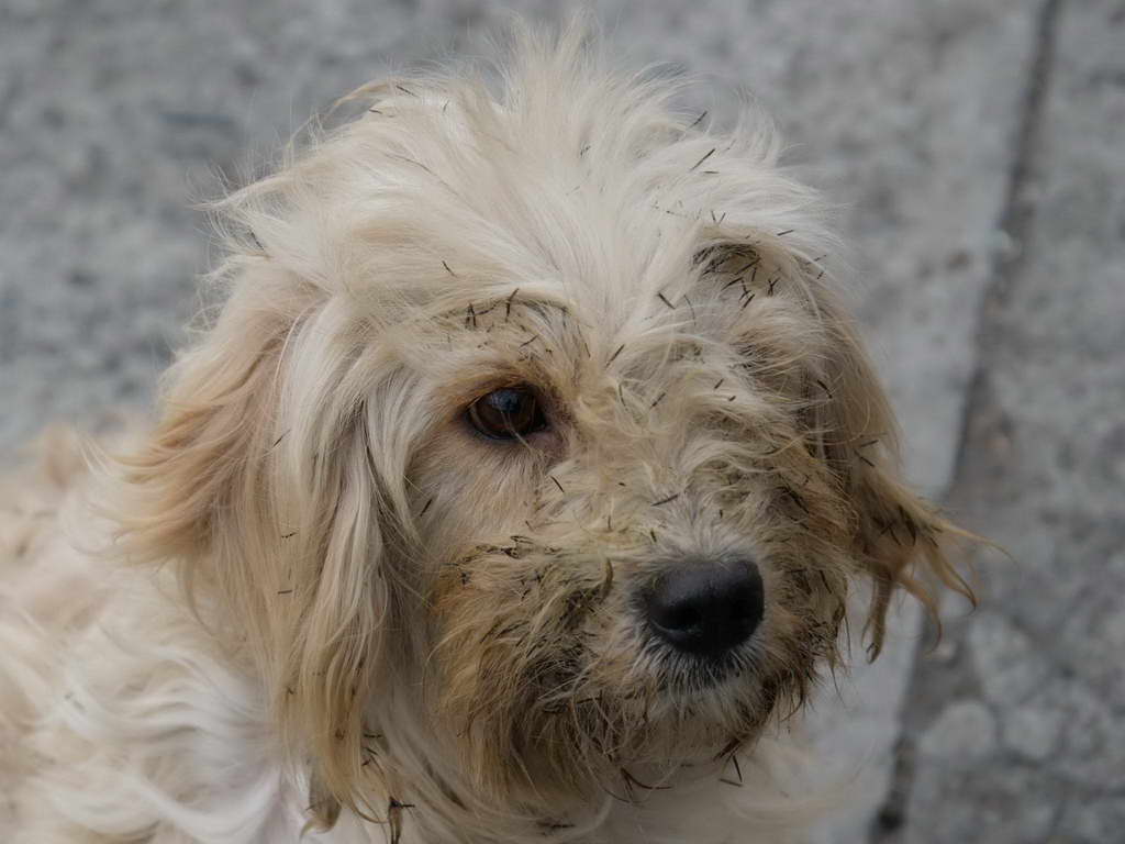 Süd- & Nordamerika 07-2017