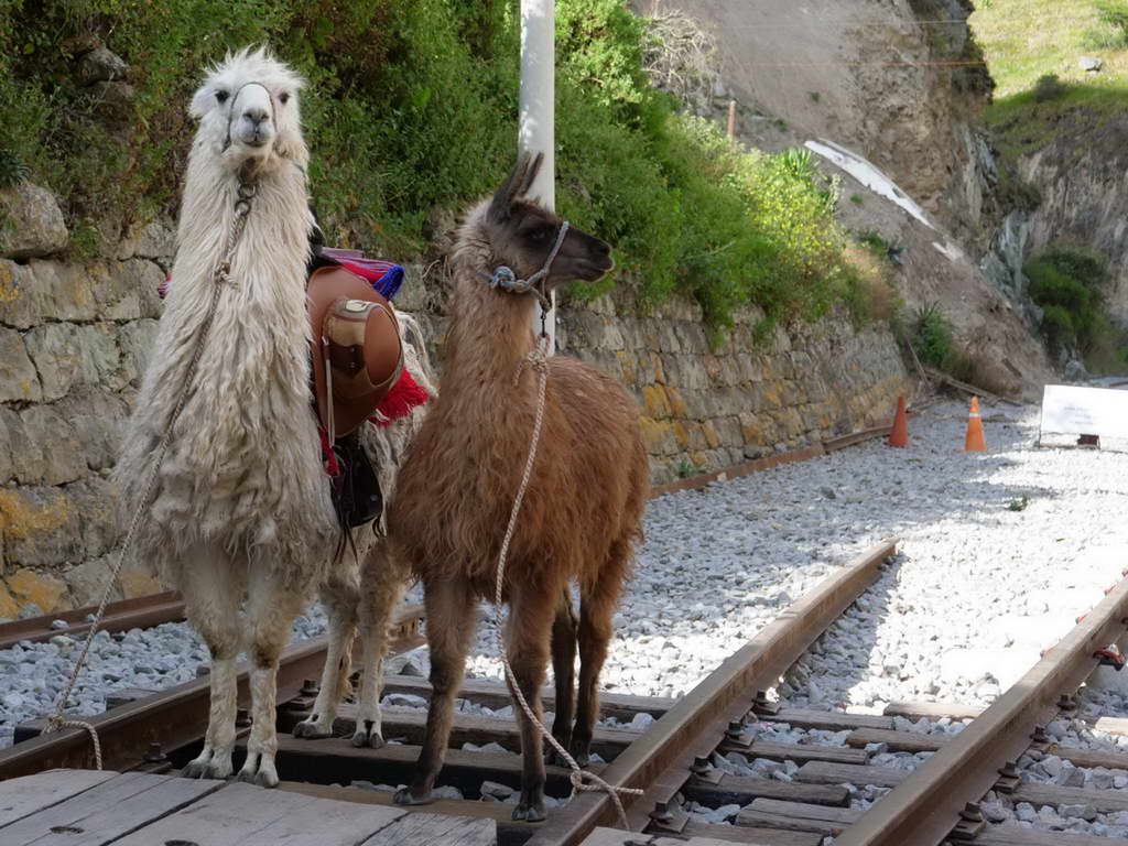 Süd- & Nordamerika 07-2017