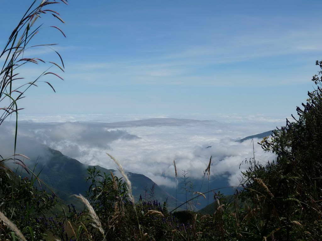 Süd- & Nordamerika 07-2017