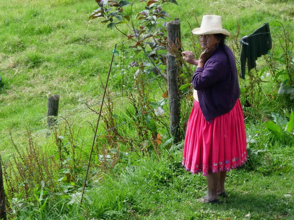 Süd- & Nordamerika 07-2017