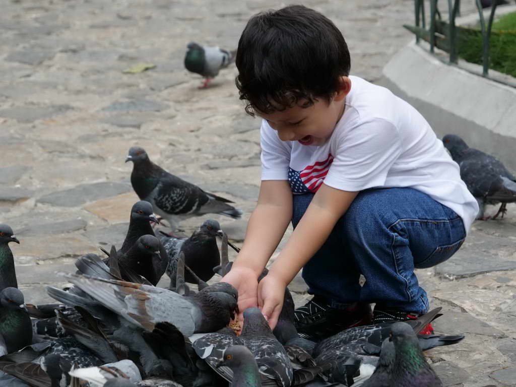 Süd- & Nordamerika 07-2017