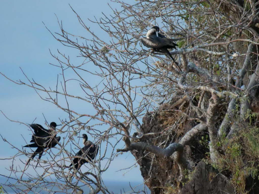 Süd- & Nordamerika 07-2017