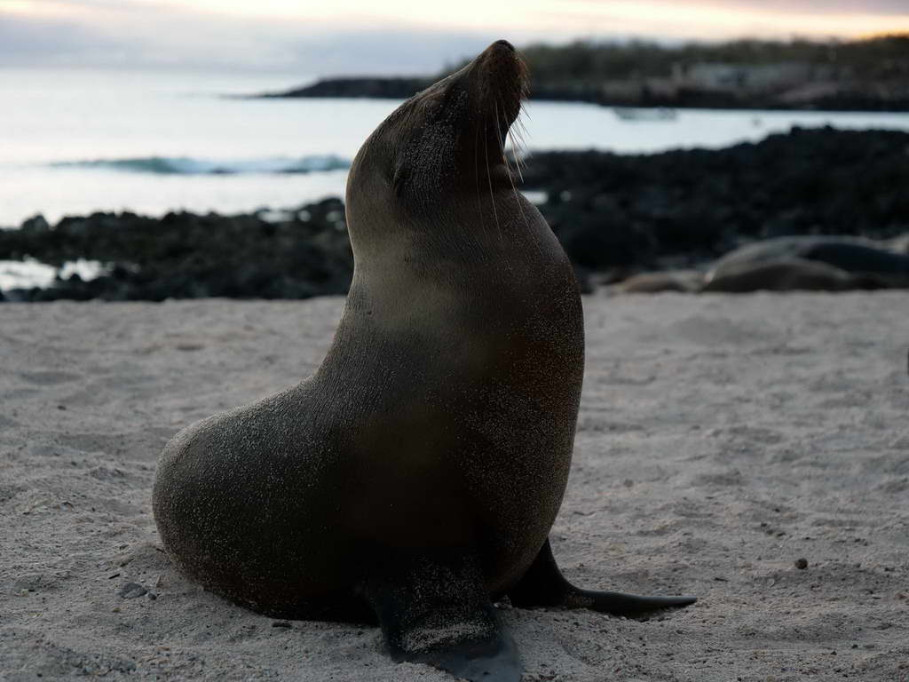 Süd- & Nordamerika 07-2017