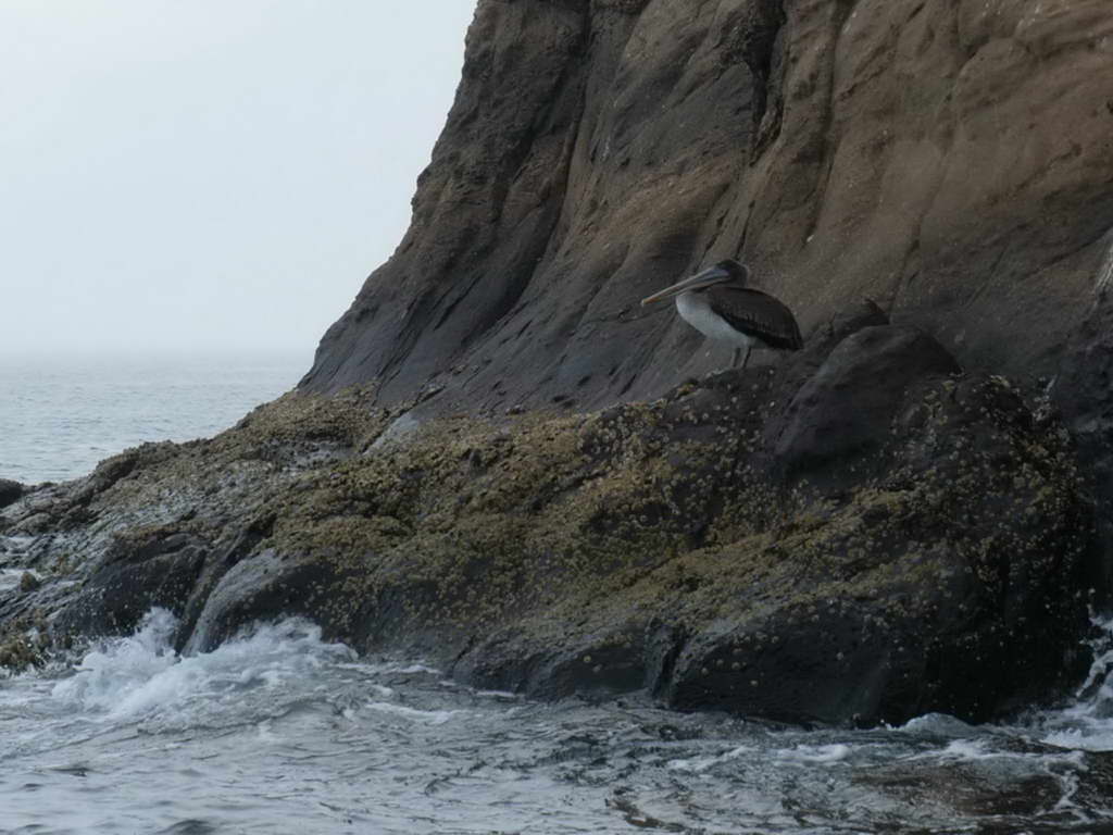 Süd- & Nordamerika 07-2017