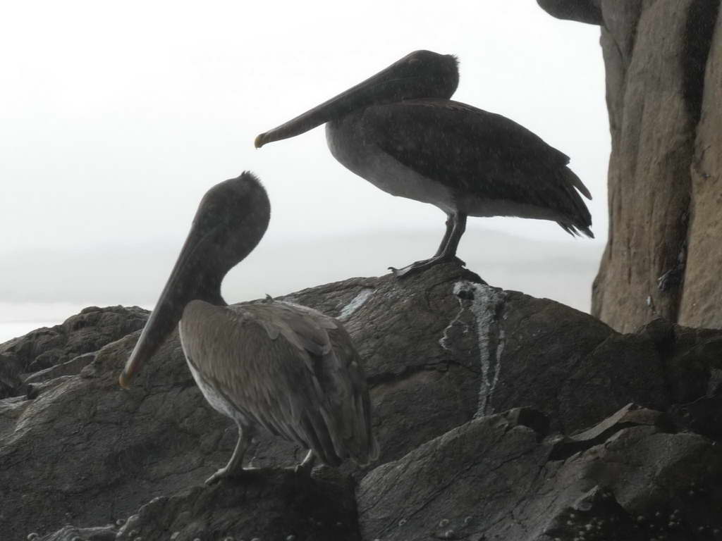 Süd- & Nordamerika 07-2017