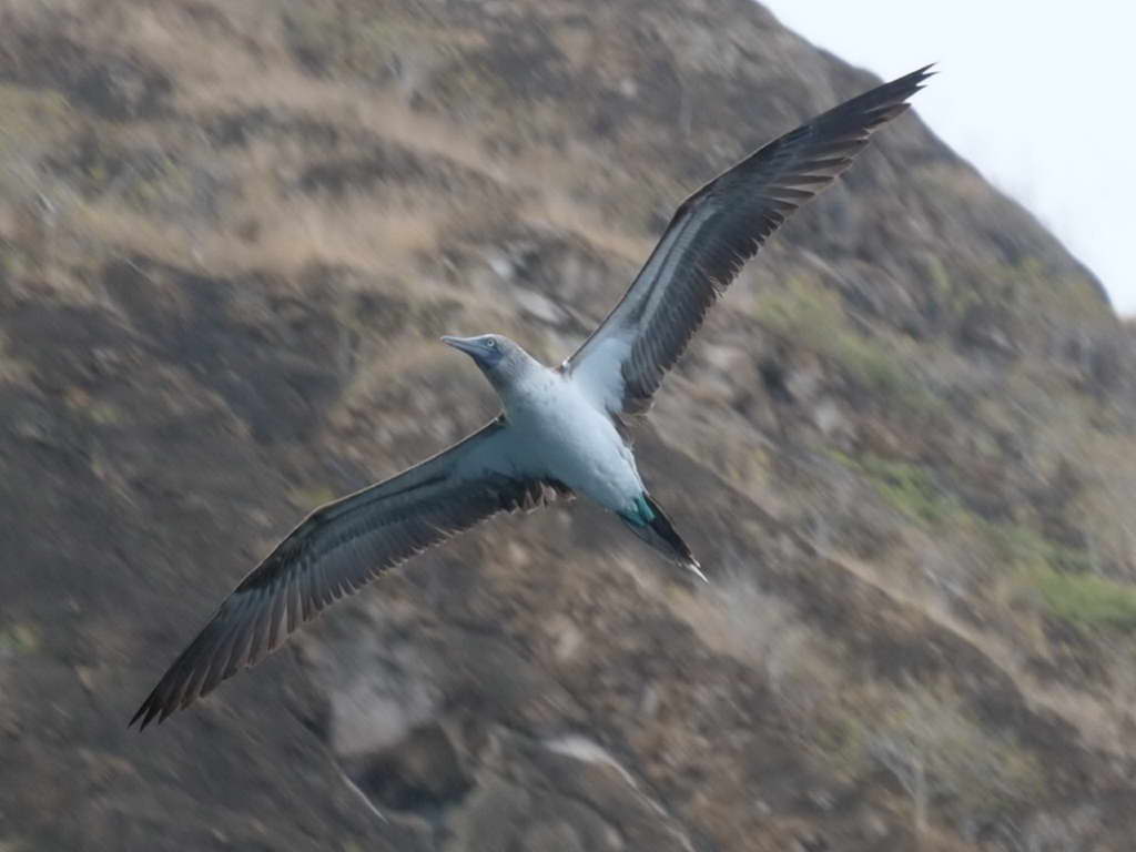 Süd- & Nordamerika 07-2017