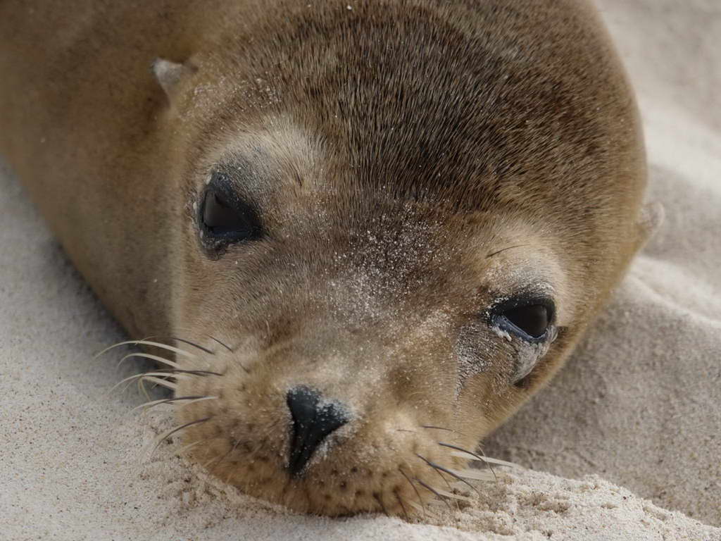 Süd- & Nordamerika 07-2017