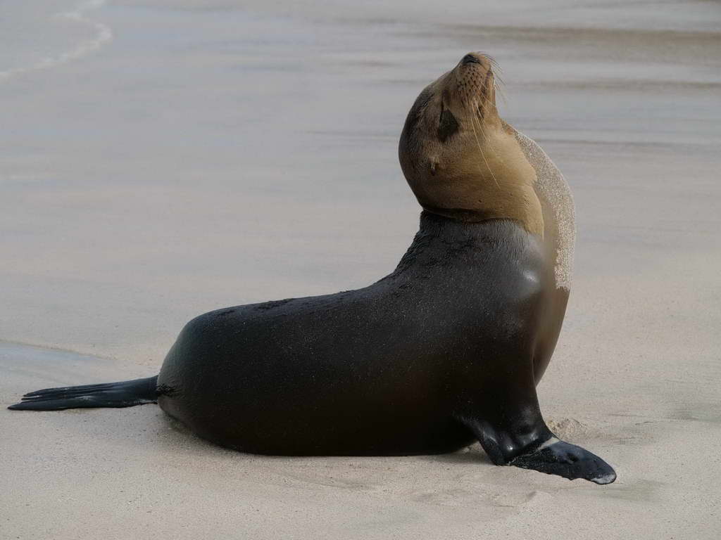 Süd- & Nordamerika 07-2017