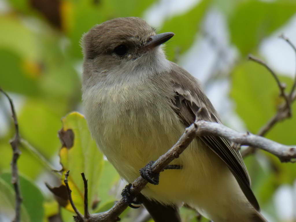 Süd- & Nordamerika 07-2017