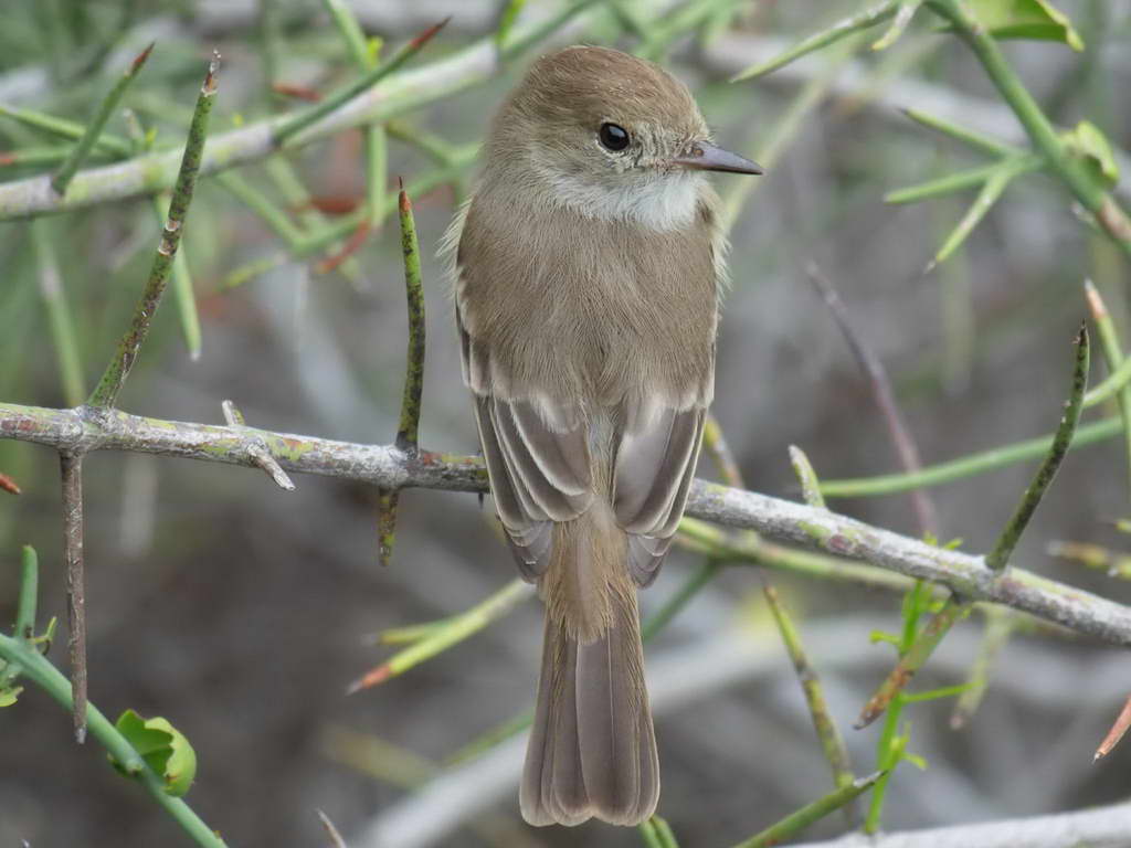 Süd- & Nordamerika 07-2017