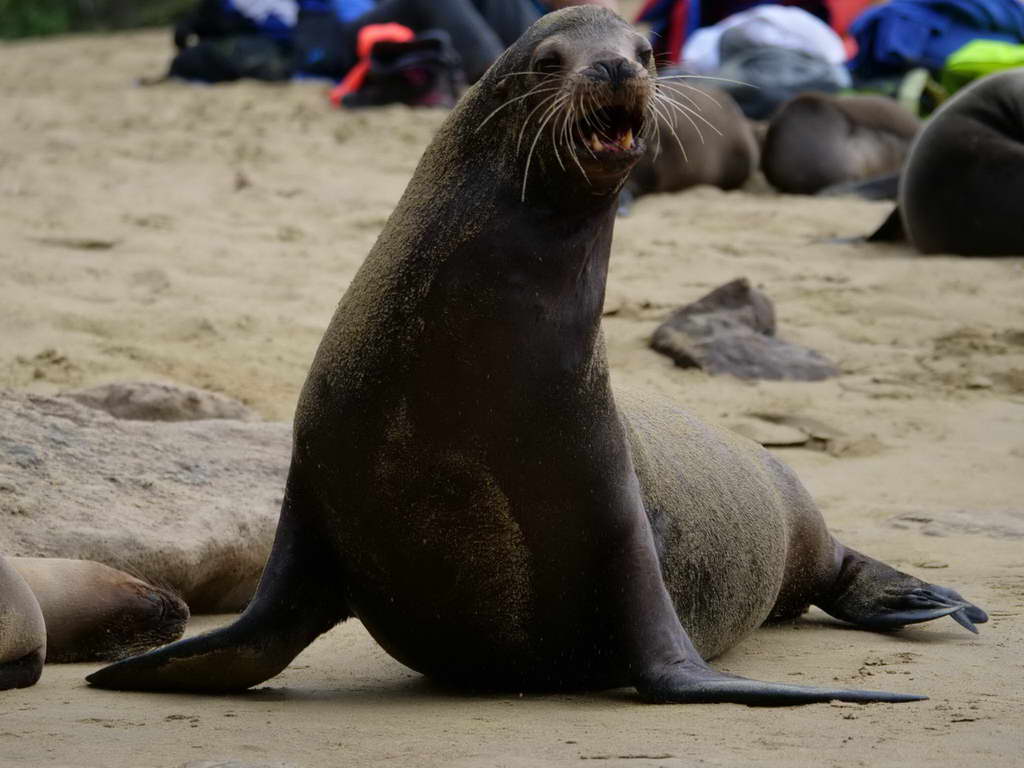 Süd- & Nordamerika 07-2017