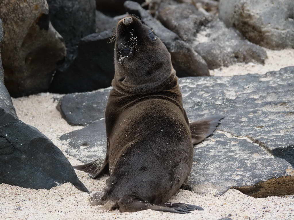 Süd- & Nordamerika 07-2017