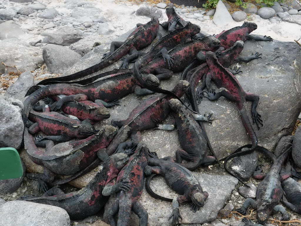 Süd- & Nordamerika 07-2017