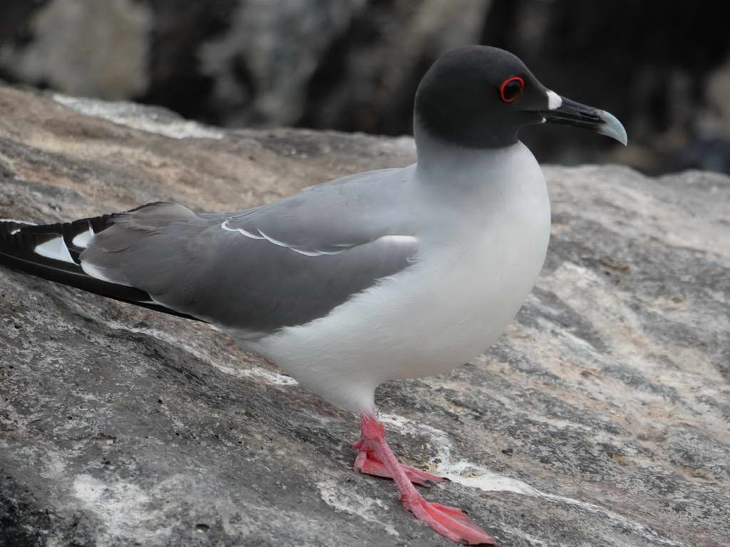 Süd- & Nordamerika 07-2017