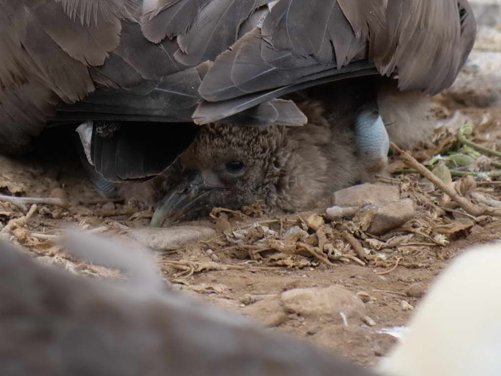 Süd- & Nordamerika 07-2017