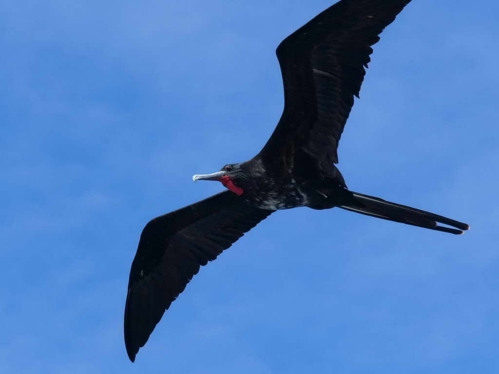 Süd- & Nordamerika 07-2017