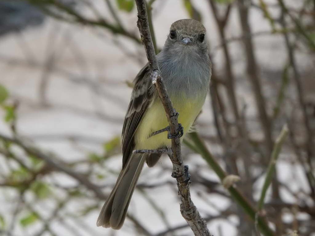 Süd- & Nordamerika 07-2017