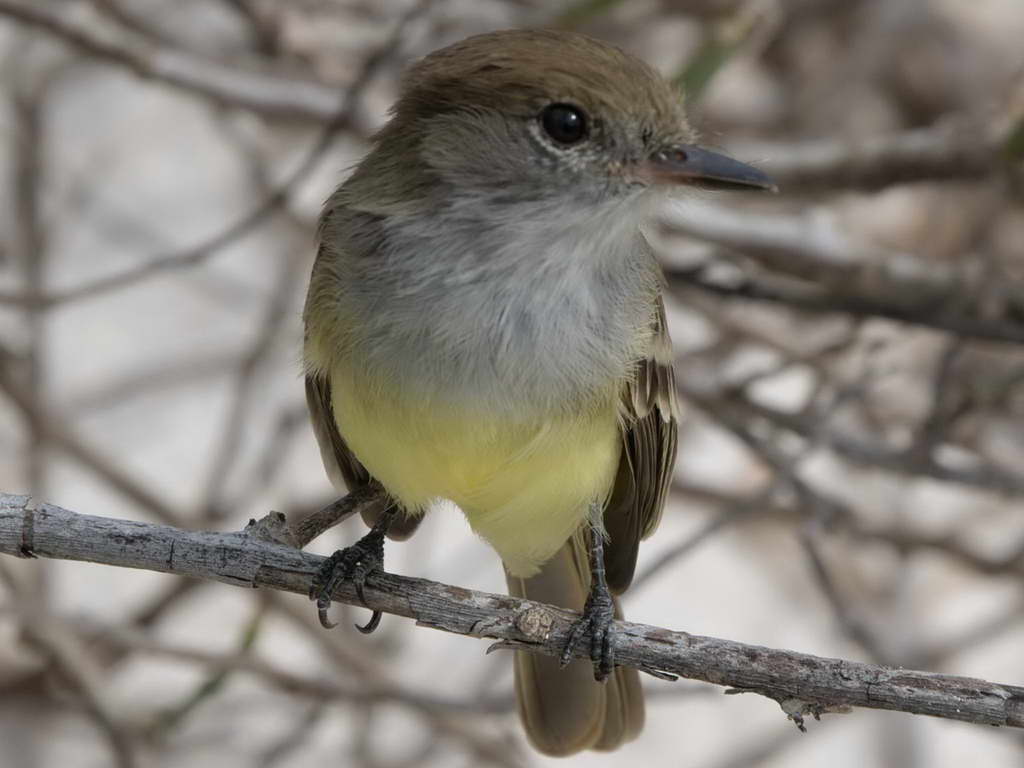 Süd- & Nordamerika 07-2017