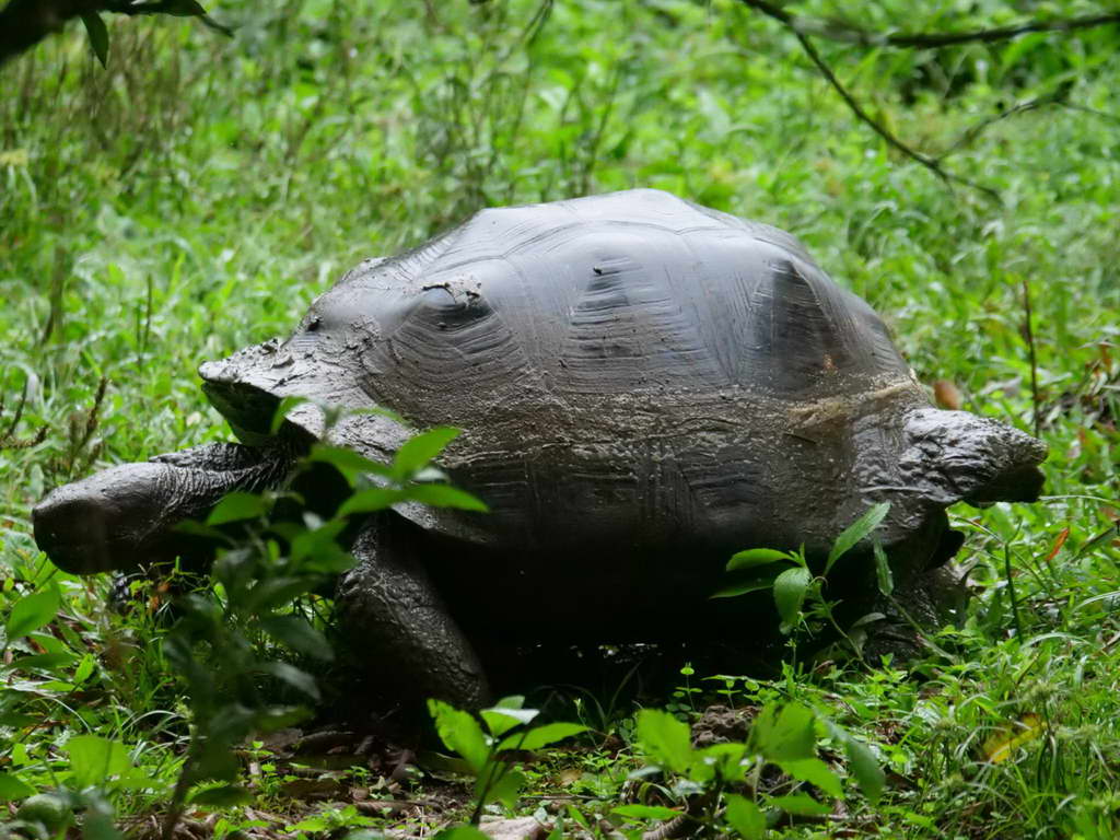 Süd- & Nordamerika 07-2017