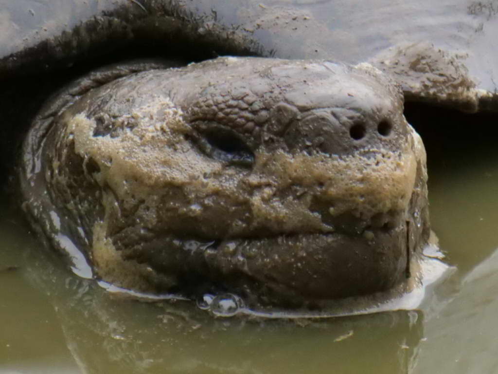 Süd- & Nordamerika 07-2017