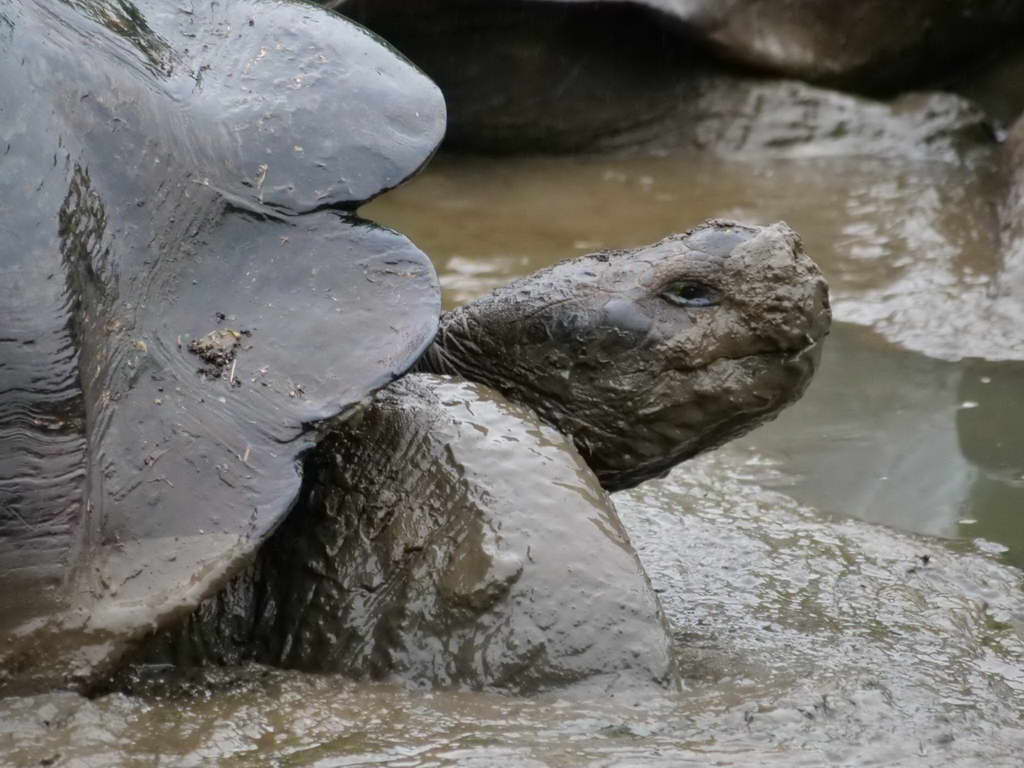 Süd- & Nordamerika 07-2017