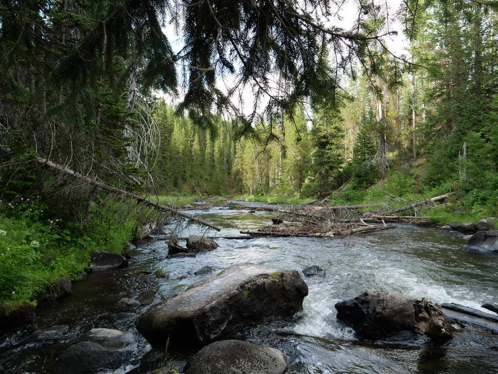 Süd- & Nordamerika 07-2017