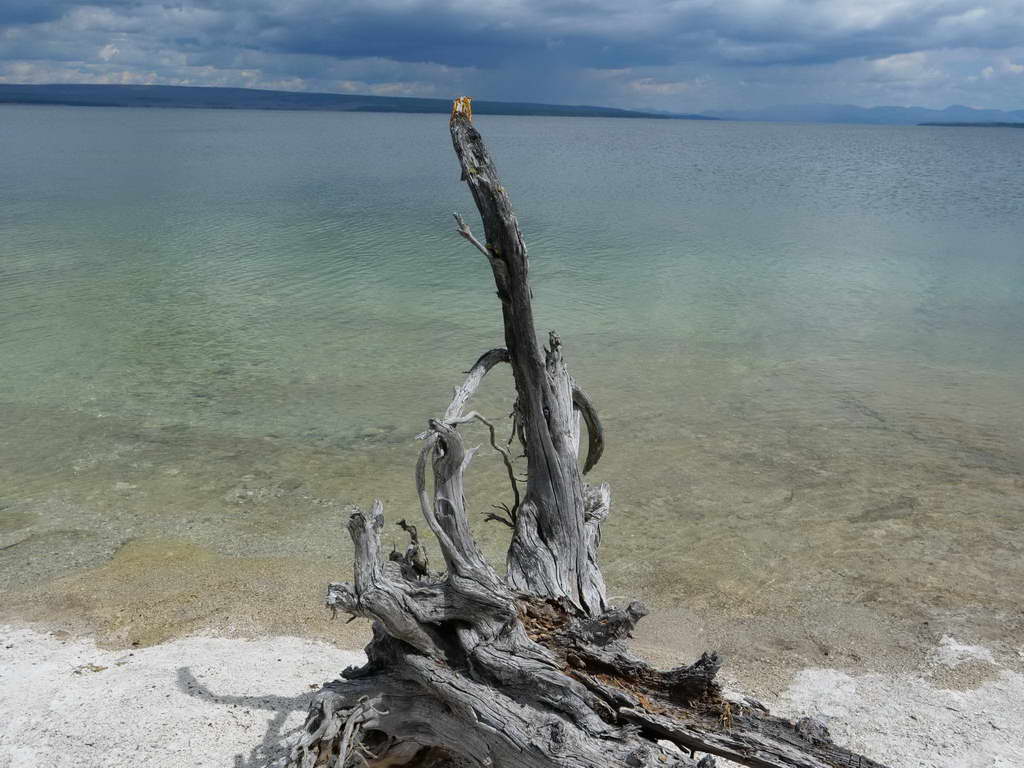 Süd- & Nordamerika 07-2017