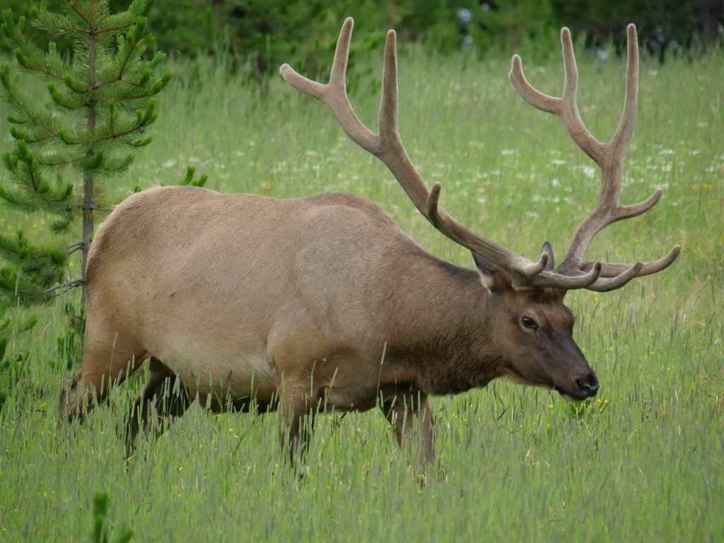 Süd- & Nordamerika 07-2017