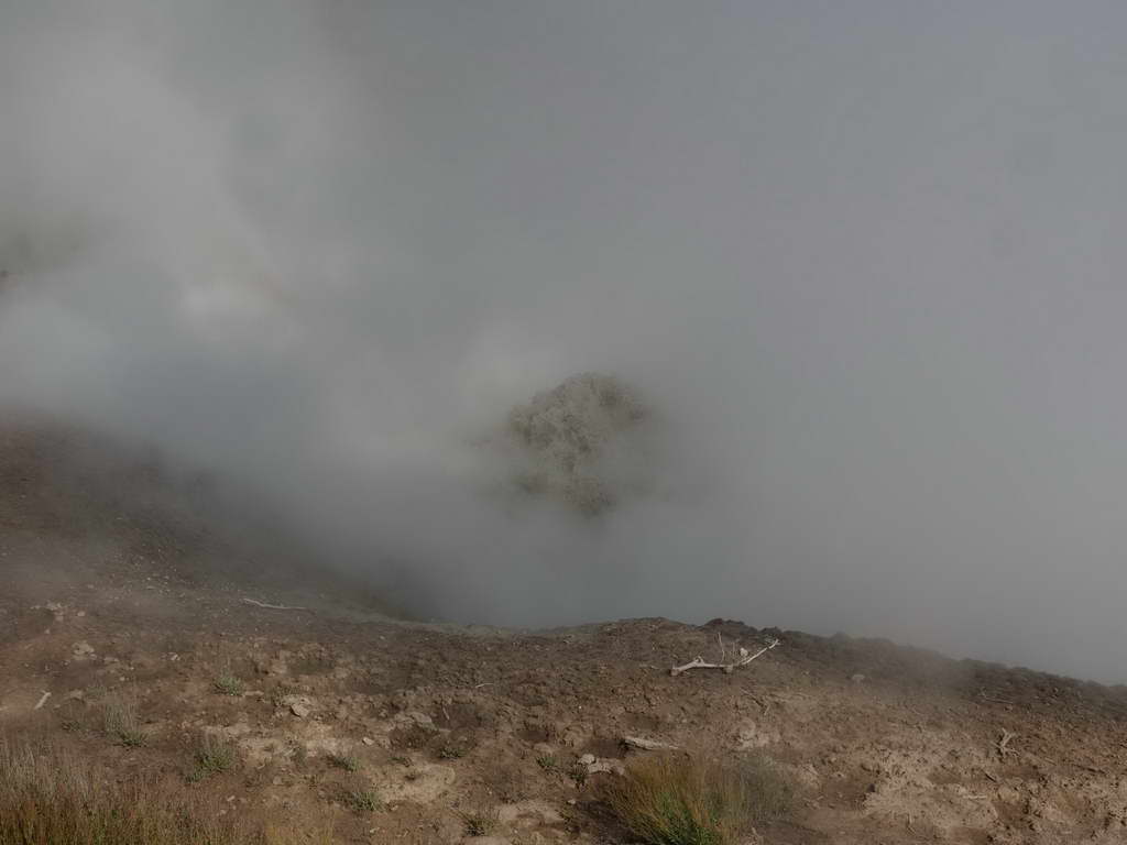 Süd- & Nordamerika 07-2017