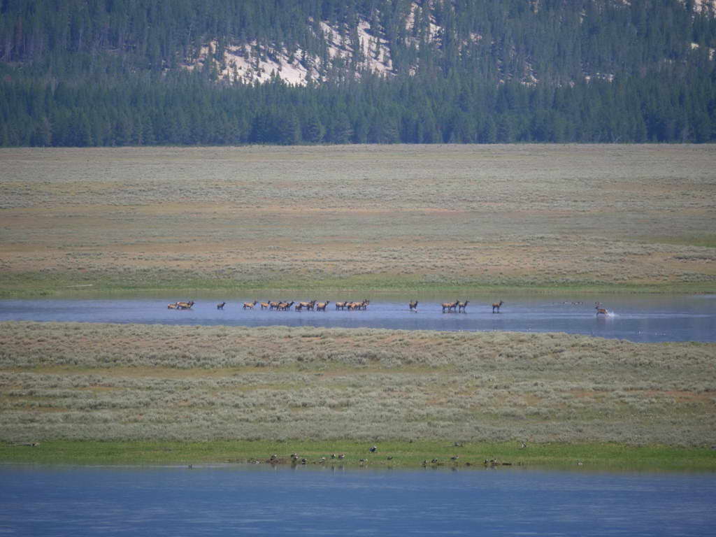 Süd- & Nordamerika 07-2017