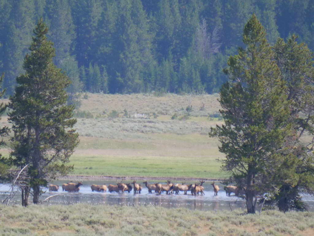 Süd- & Nordamerika 07-2017