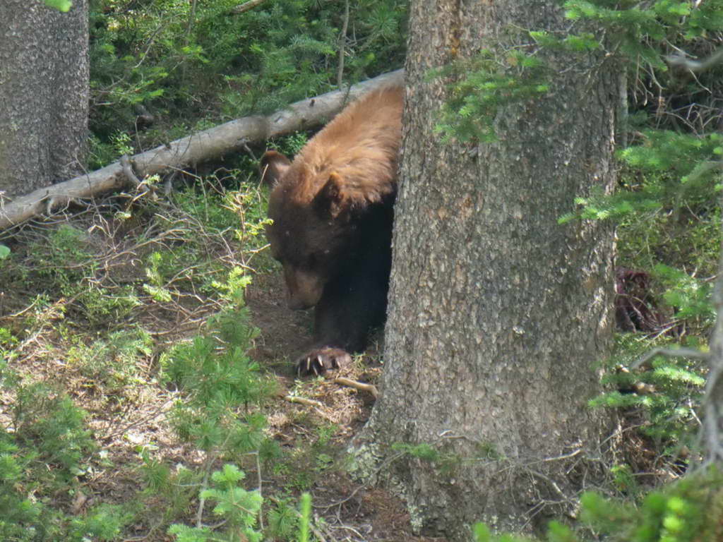 Süd- & Nordamerika 07-2017