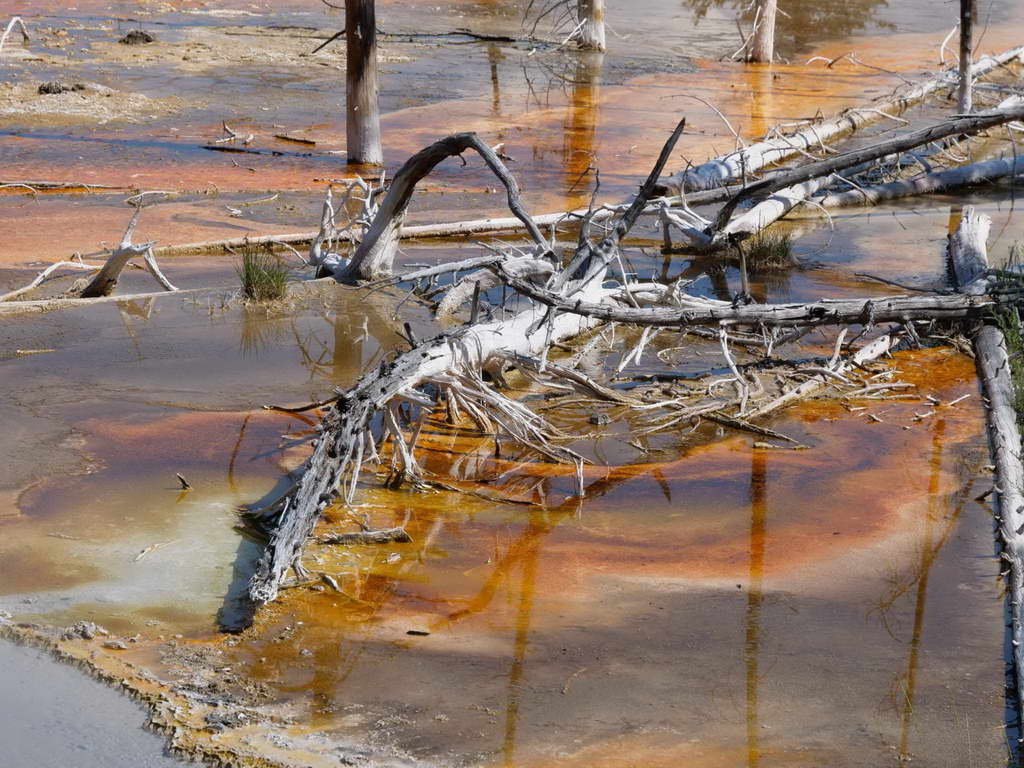 Süd- & Nordamerika 07-2017