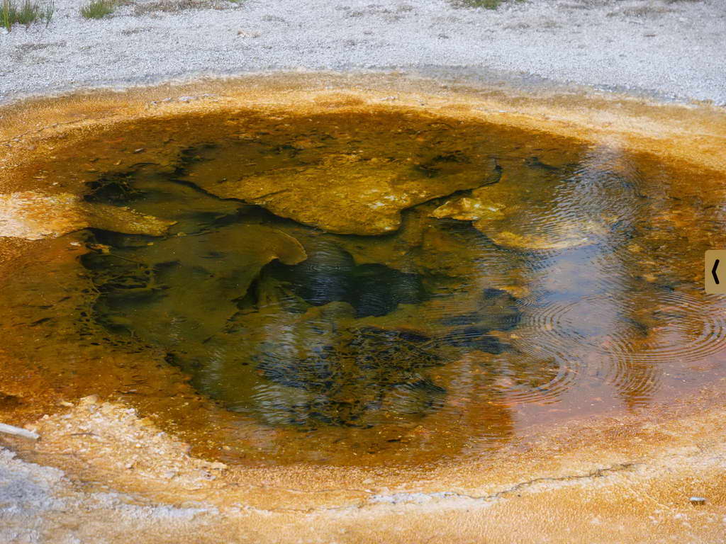 Süd- & Nordamerika 07-2017