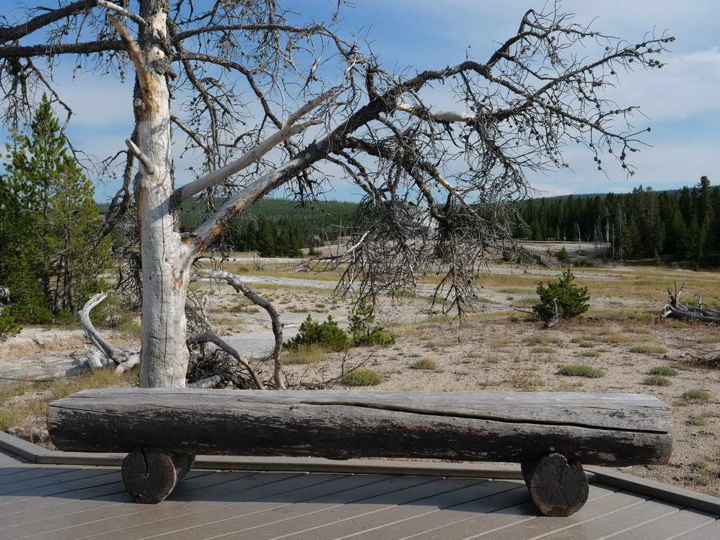 Süd- & Nordamerika 07-2017