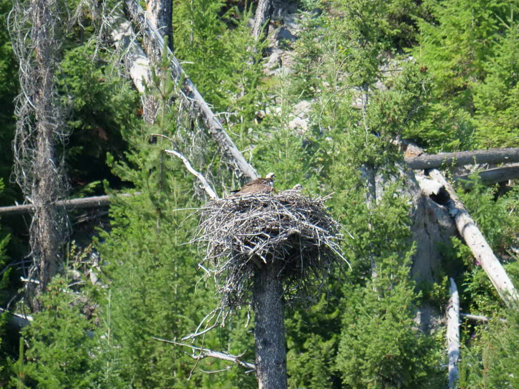 Süd- & Nordamerika 07-2017