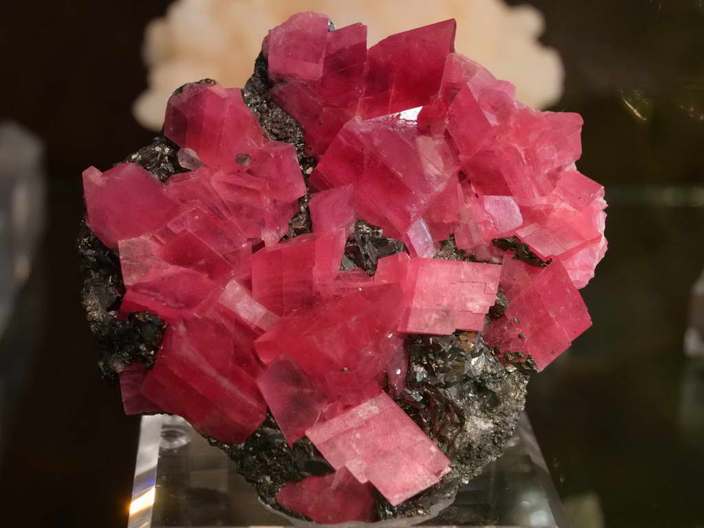 Süd- & Nordamerika 07-2017